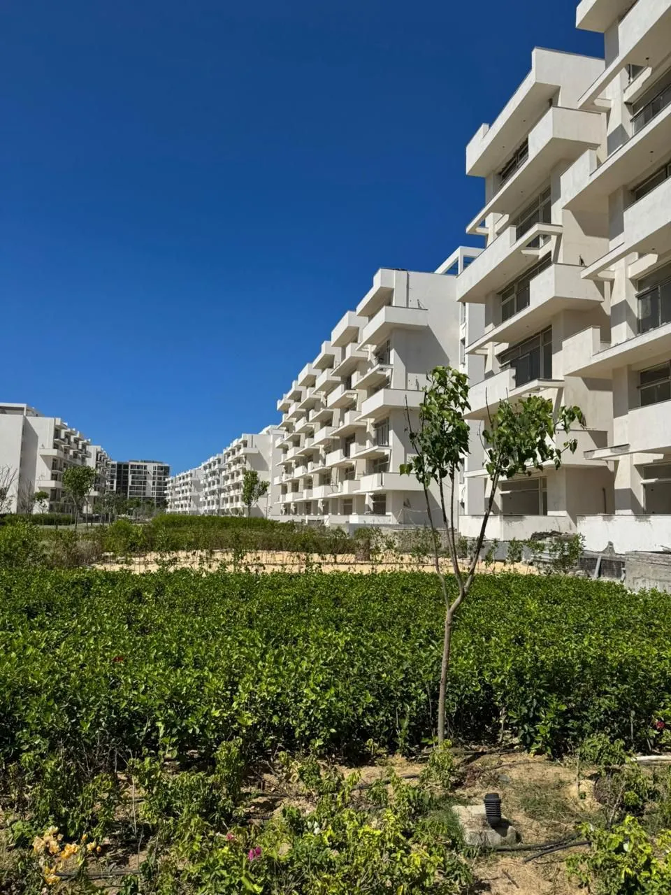  for sale in Mazarine Chalet Extension in  of 0 m² with 0 bedrooms