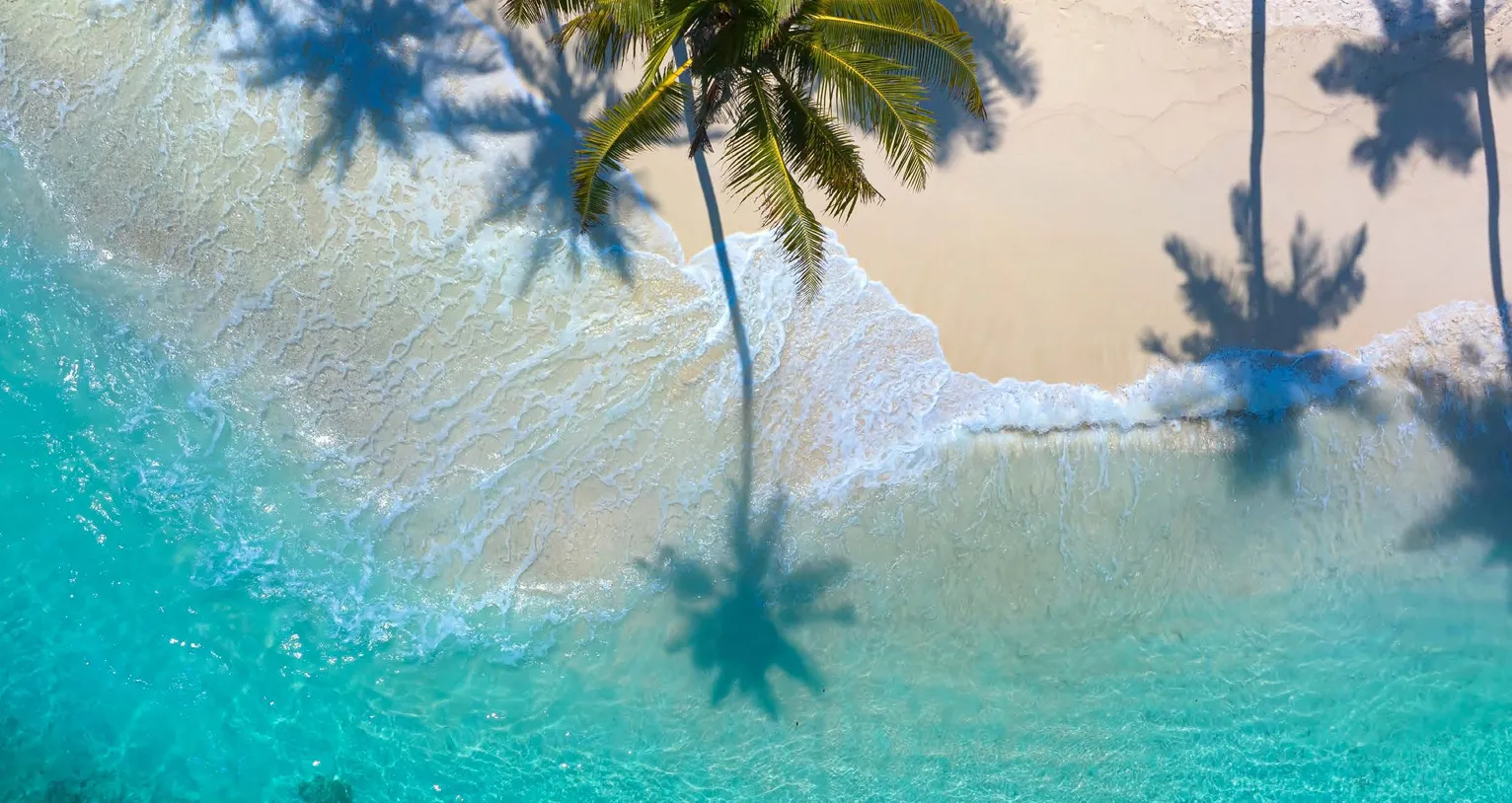 للبيع في اكوامارين-جون في بمساحة 0 م² تتكون من 0 غرف