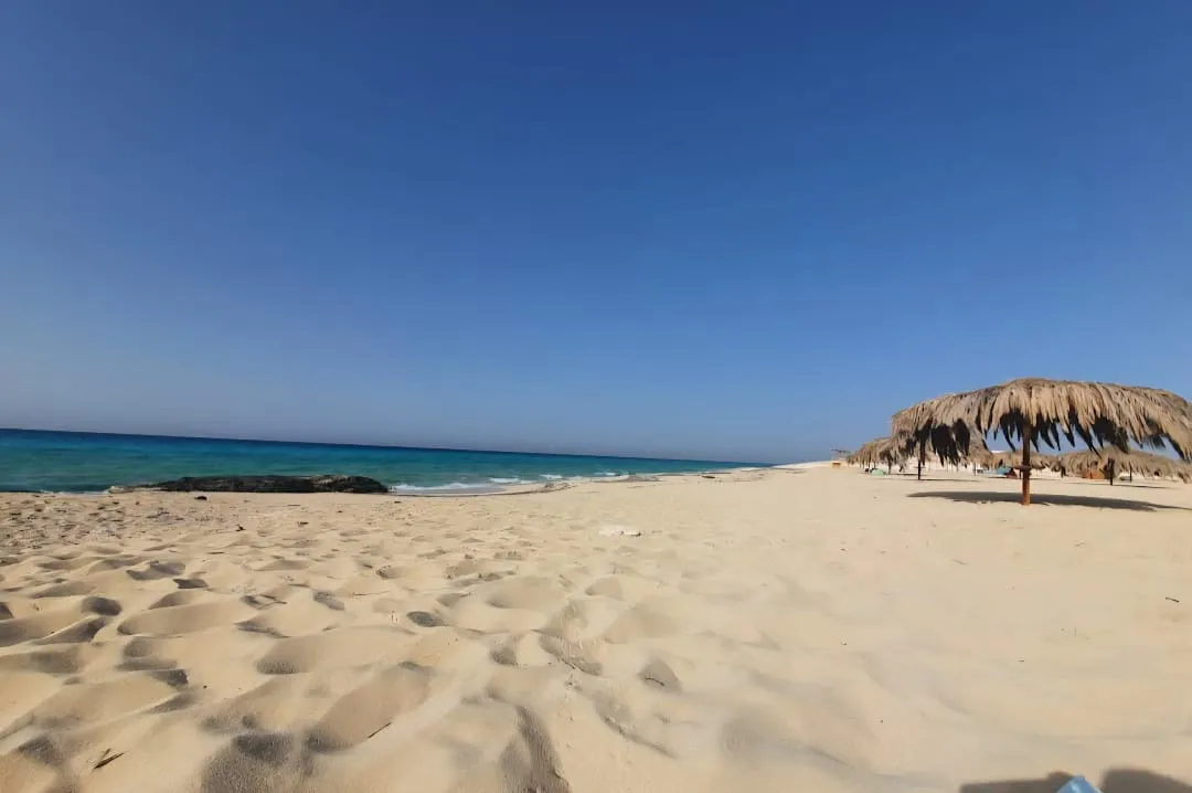 شاليه للبيع في بيانكي في سيدي عبد الرحمن بمساحة 100 م² تتكون من 2 غرف