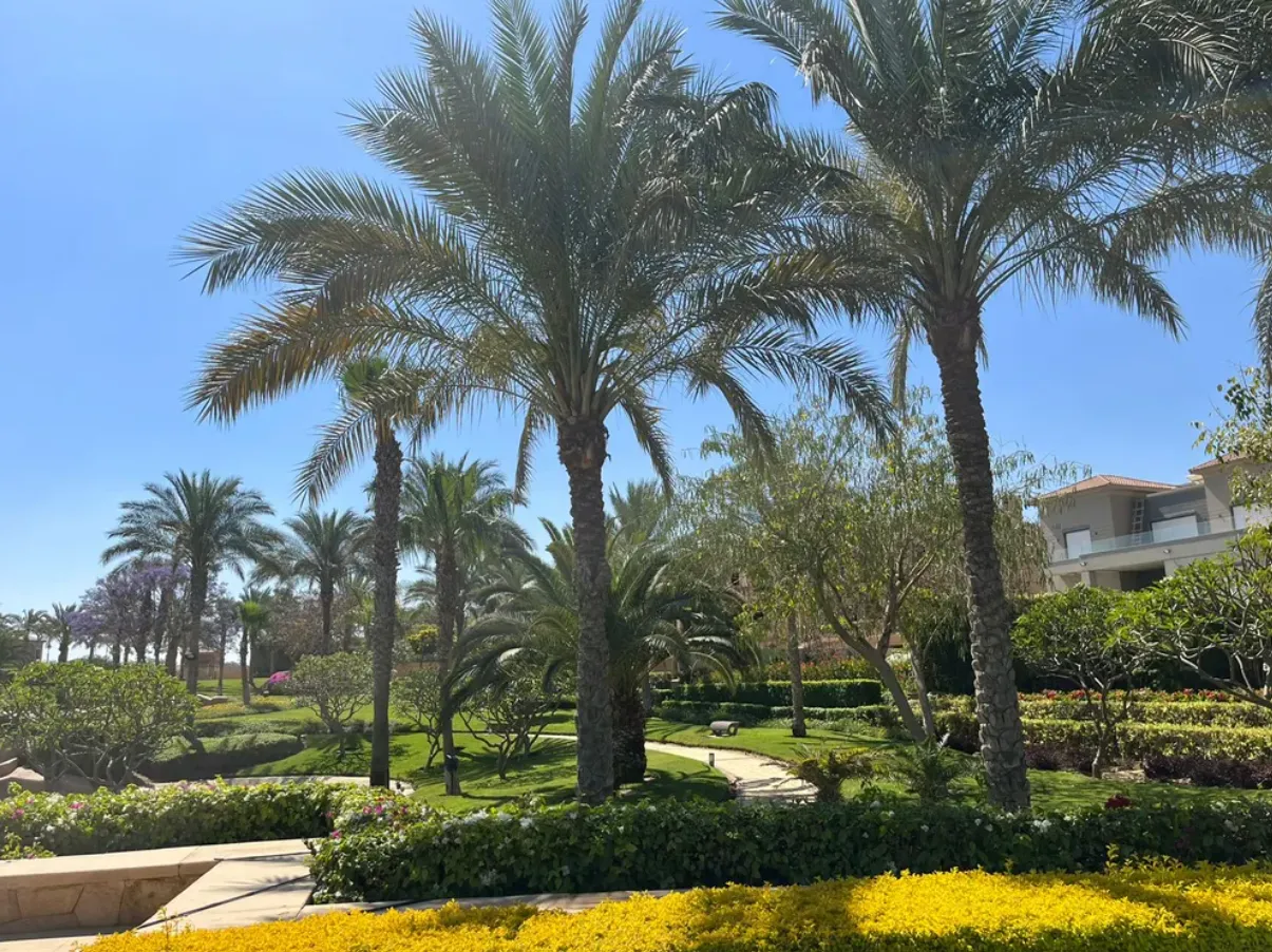 للبيع في هاب تاون في بمساحة 0 م² تتكون من 0 غرف