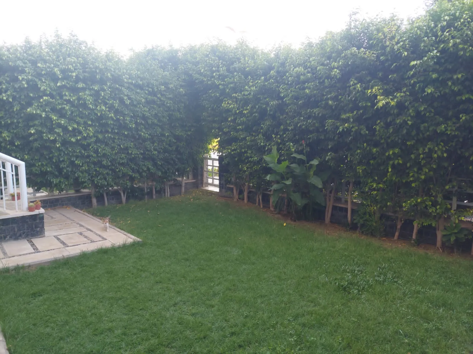 Apartment for sale in Madinaty in Madinaty of 200 m² with 4 bedrooms