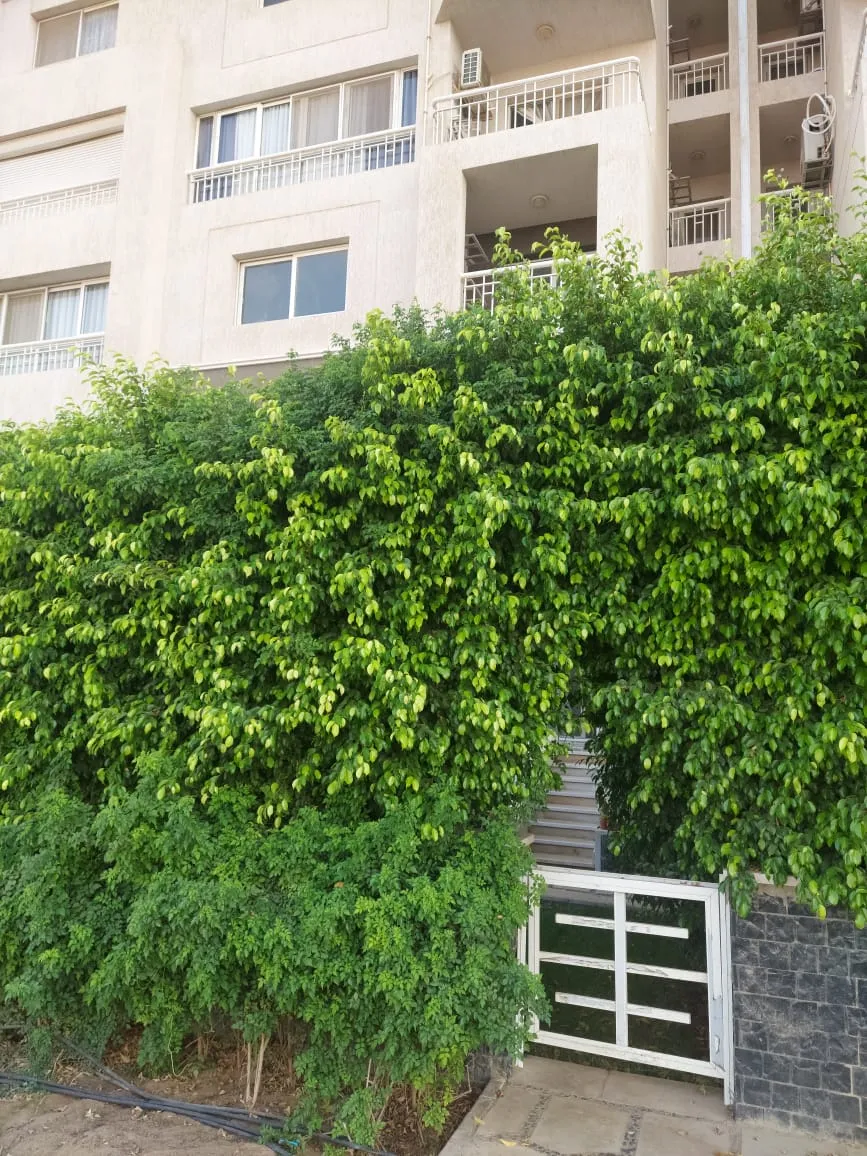 Apartment for sale in Madinaty in Madinaty of 200 m² with 4 bedrooms