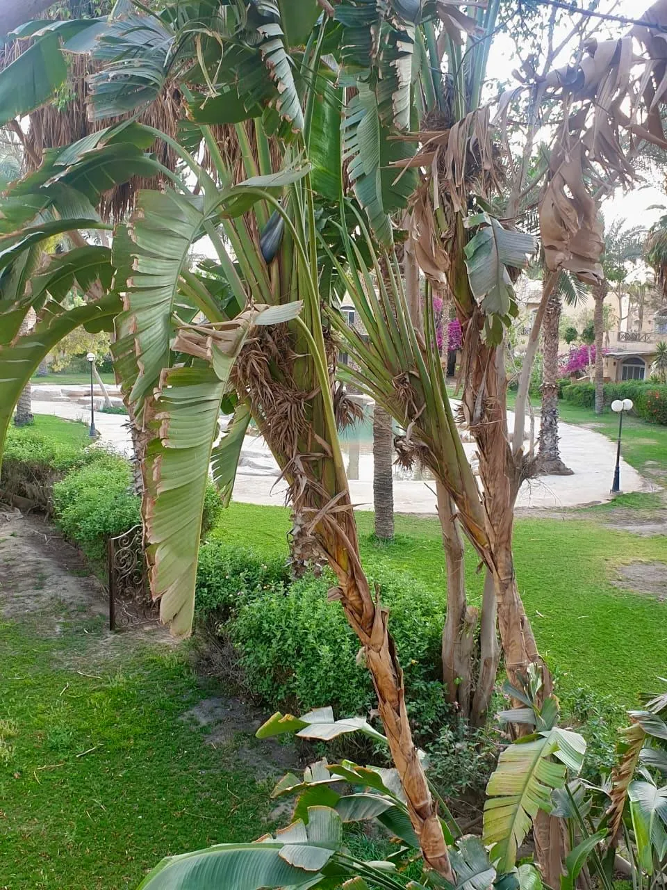 Chalet for sale in Stella Di Mary Ein Sokhna in Ain Sokhna of 165 m² with 3 bedrooms