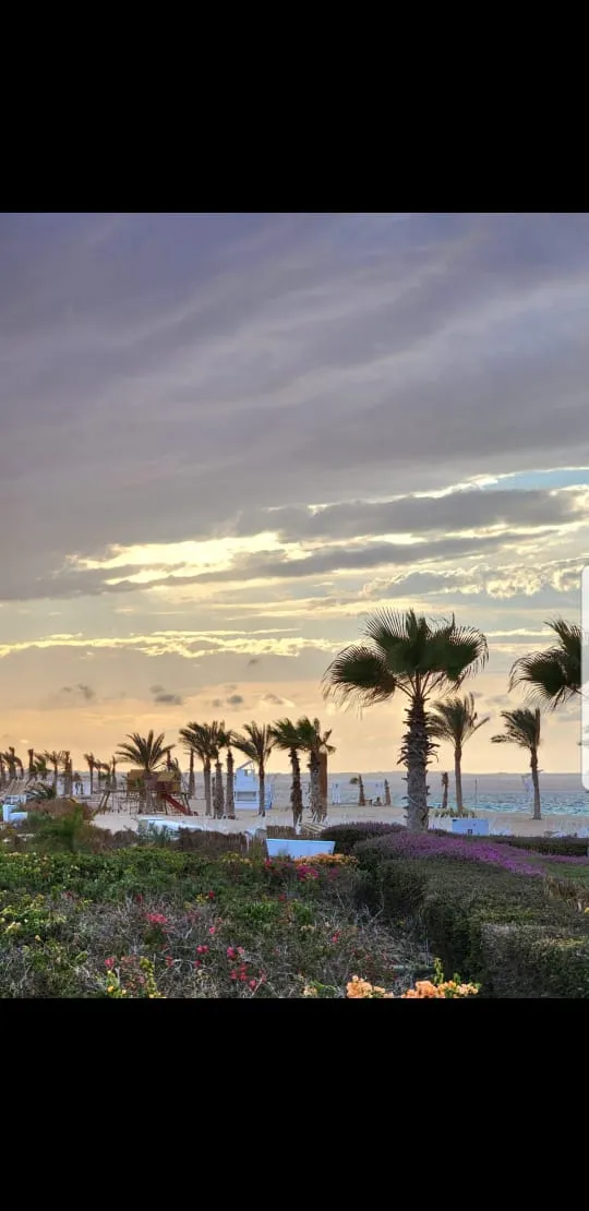  للبيع في فوكا باي في  بمساحة 0 م² تتكون من 0 غرف