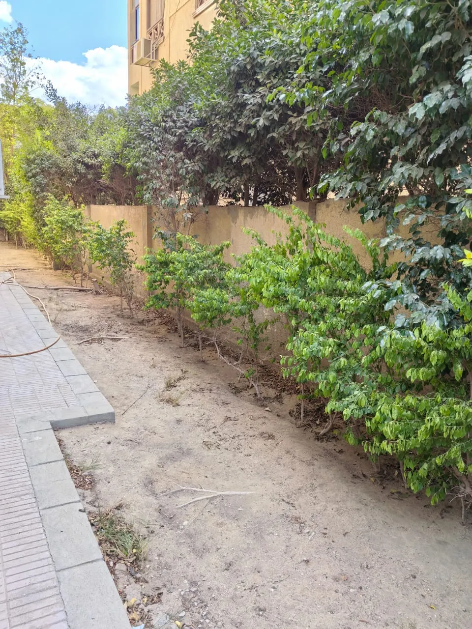 Apartment for sale in Beverly Hills in 6th of October City of 163 m² with 4 bedrooms