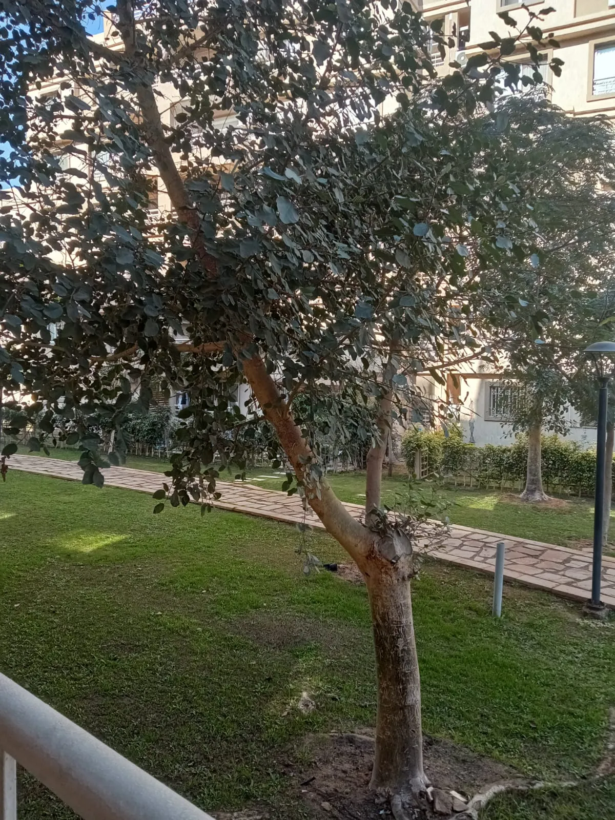  for sale in Madinaty in  of 0 m² with 0 bedrooms