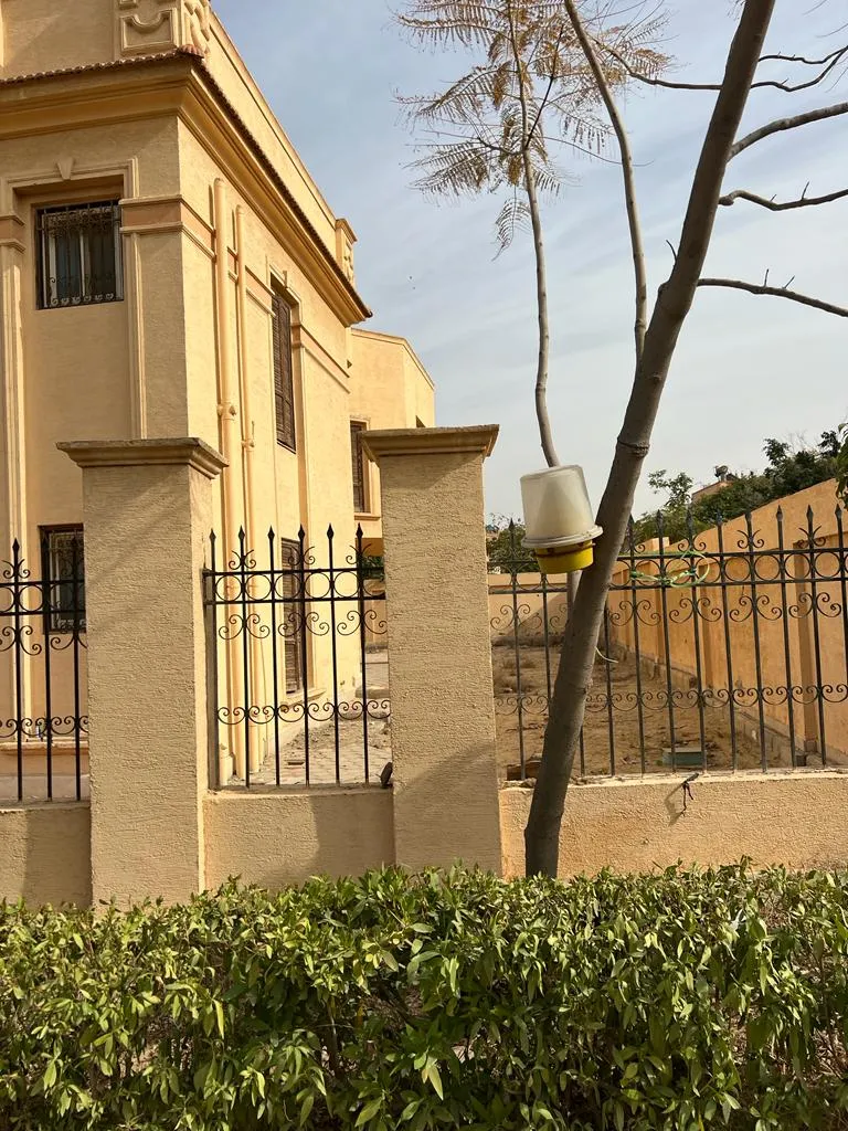  for sale in Tiba in  of 0 m² with 0 bedrooms