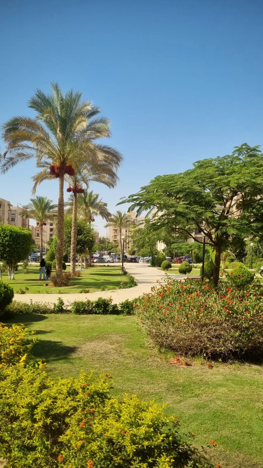  for sale in El Rehab  in  of 0 m² with 0 bedrooms