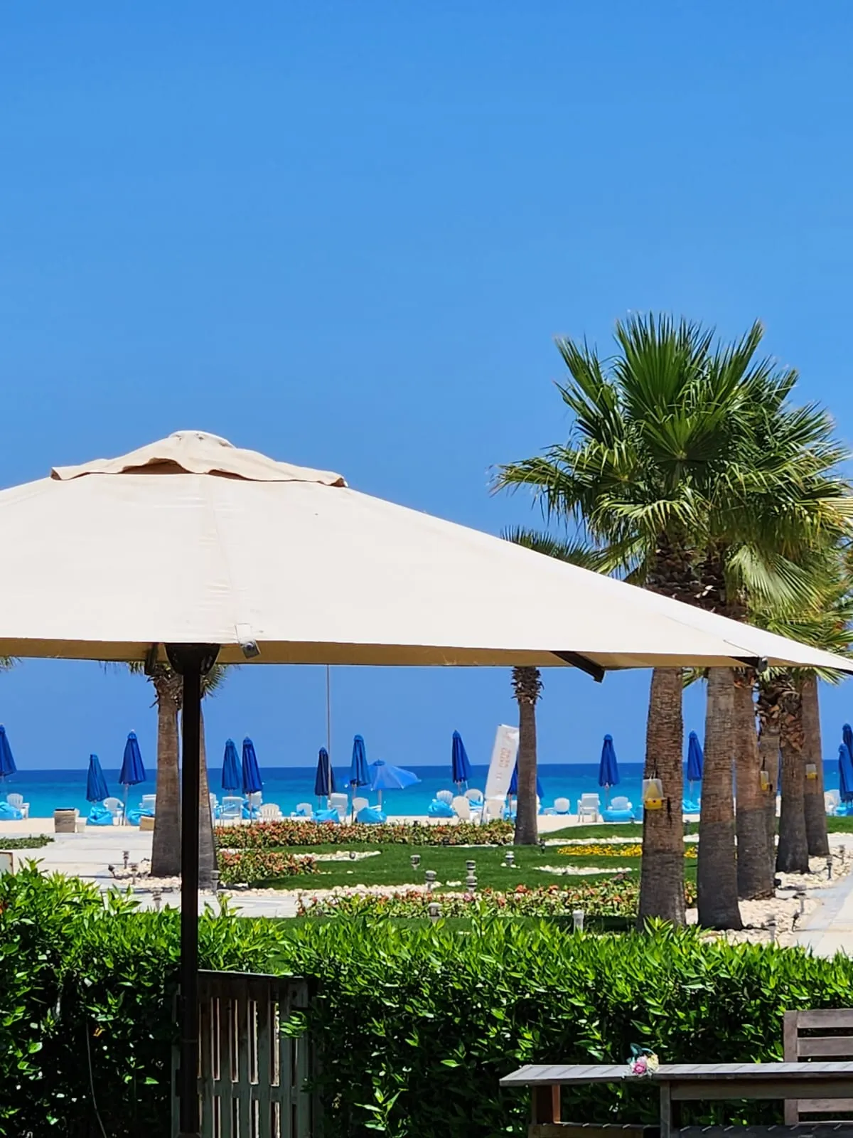  for sale in La Vista Cascada in  of 0 m² with 0 bedrooms