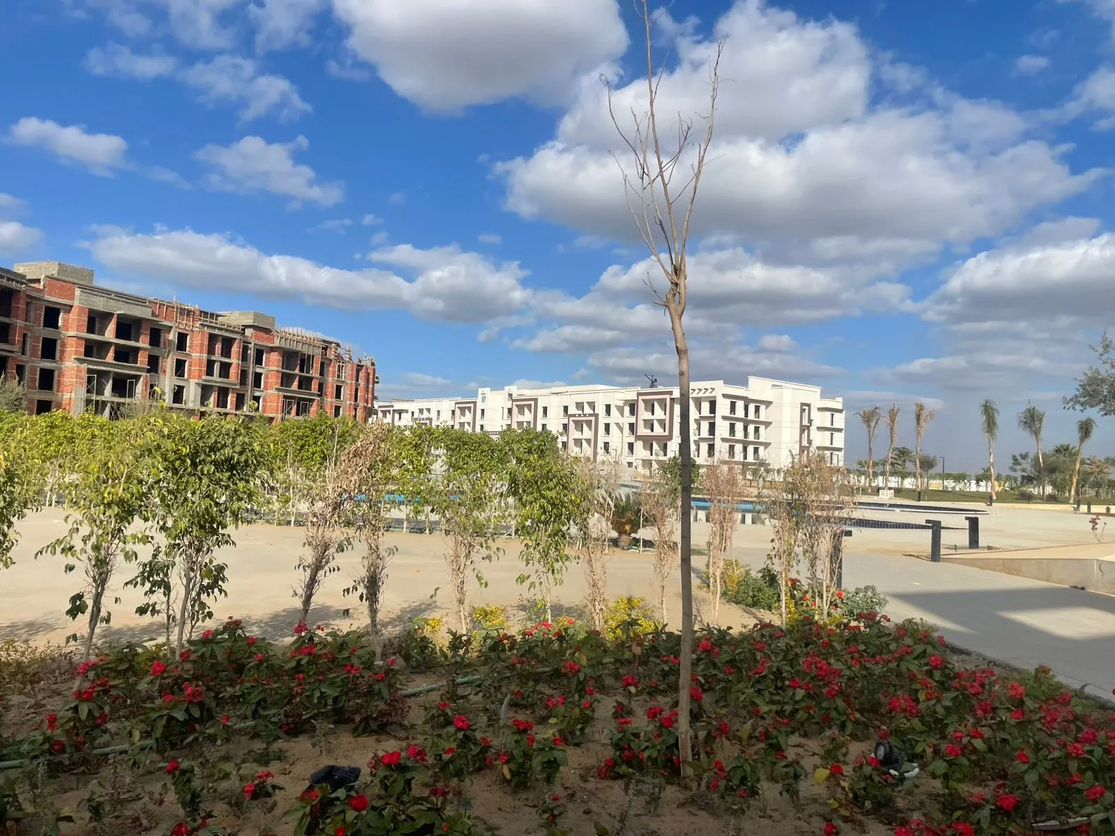 for sale in Porto Pyramids in of 0 m² with 0 bedrooms