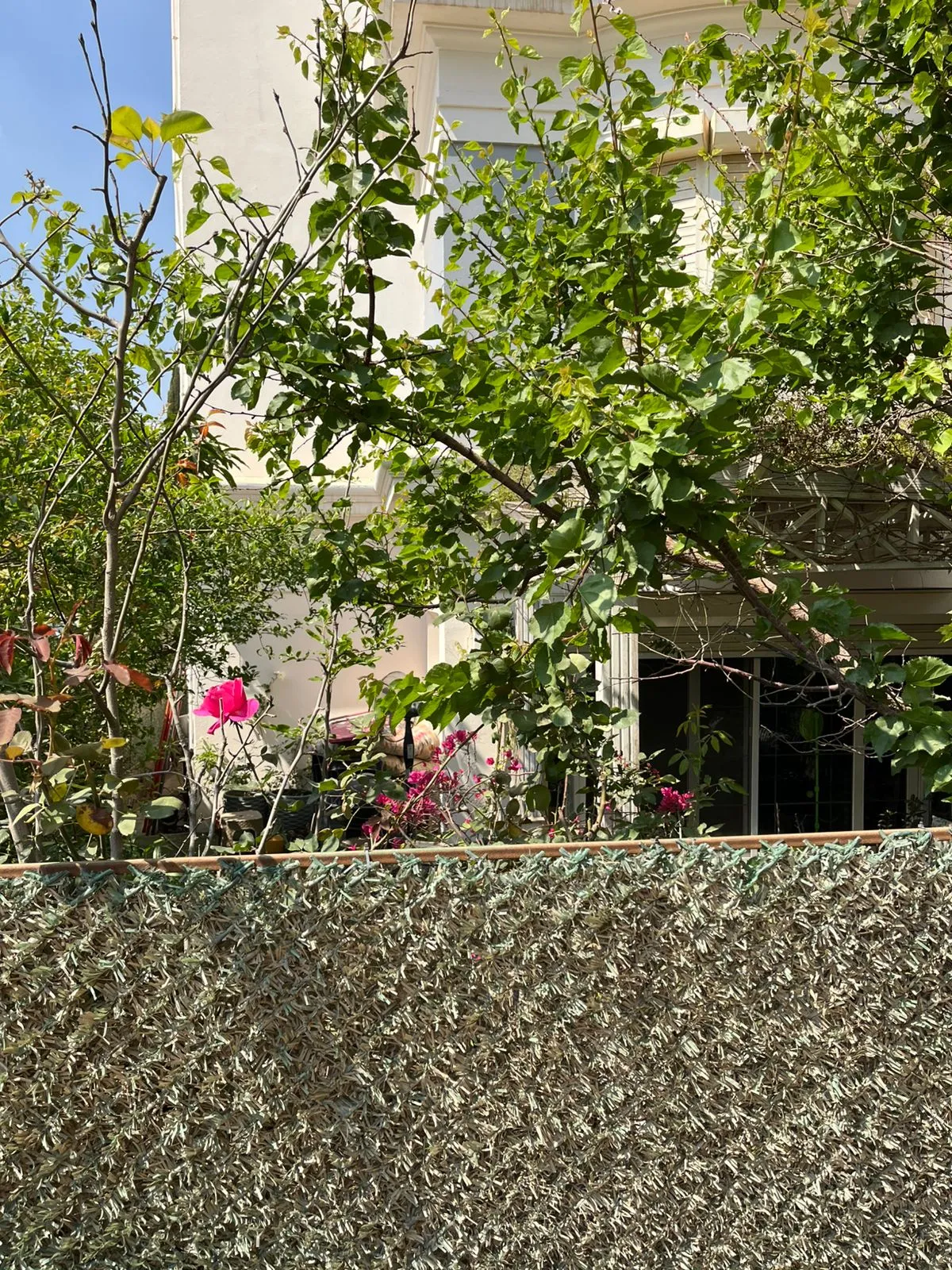 Duplex for sale in Mountain View Executive Residence Katameya in New Cairo of 223 m² with 3 bedrooms