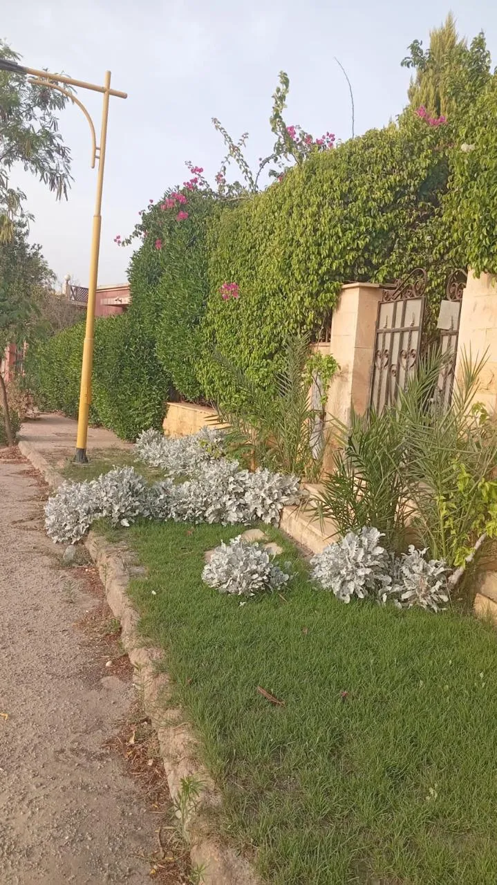  للبيع في جولف السليمانية في  بمساحة 0 م² تتكون من 0 غرف