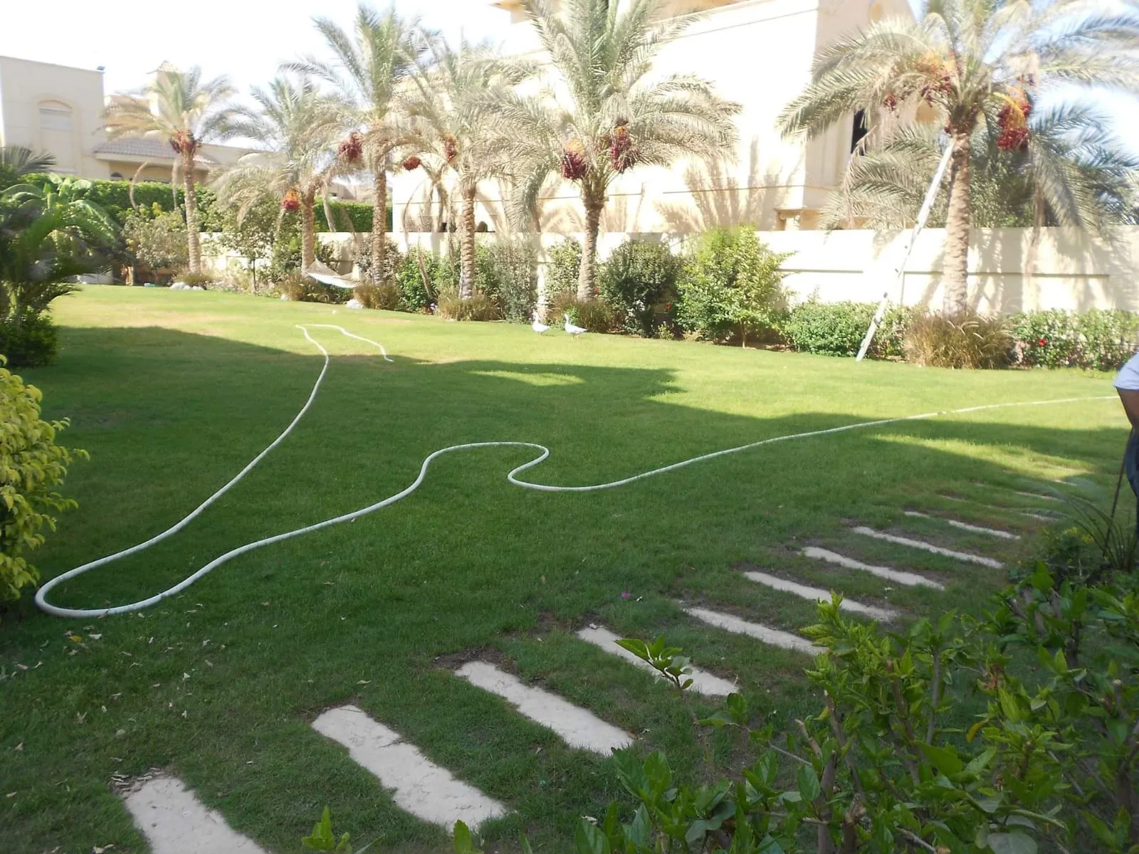  for sale in El Safwa in  of 0 m² with 0 bedrooms