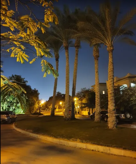 للبيع في الجزيره كمباوند في بمساحة 0 م² تتكون من 0 غرف
