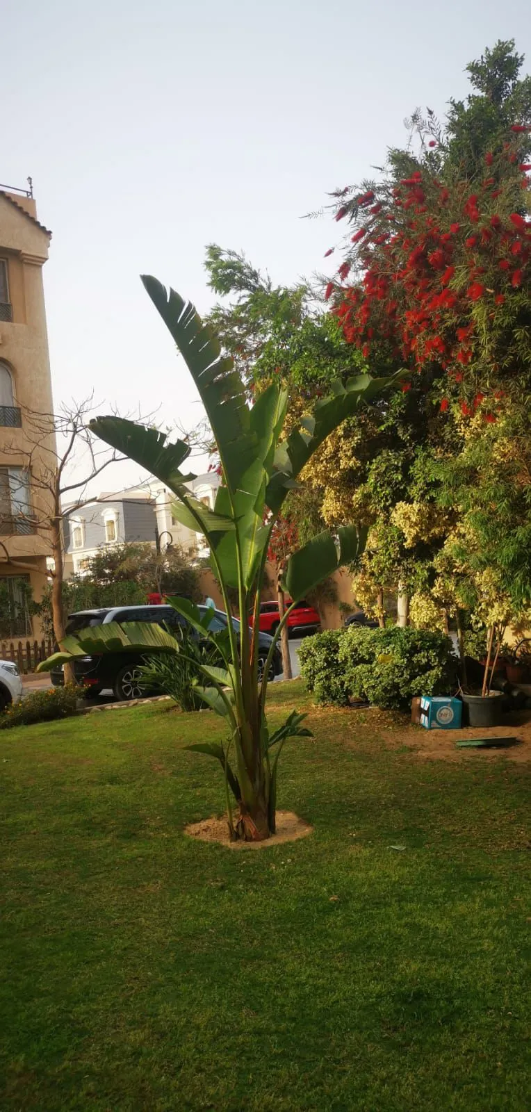 Apartment for sale in Highland Park in New Cairo of 160 m² with 3 bedrooms