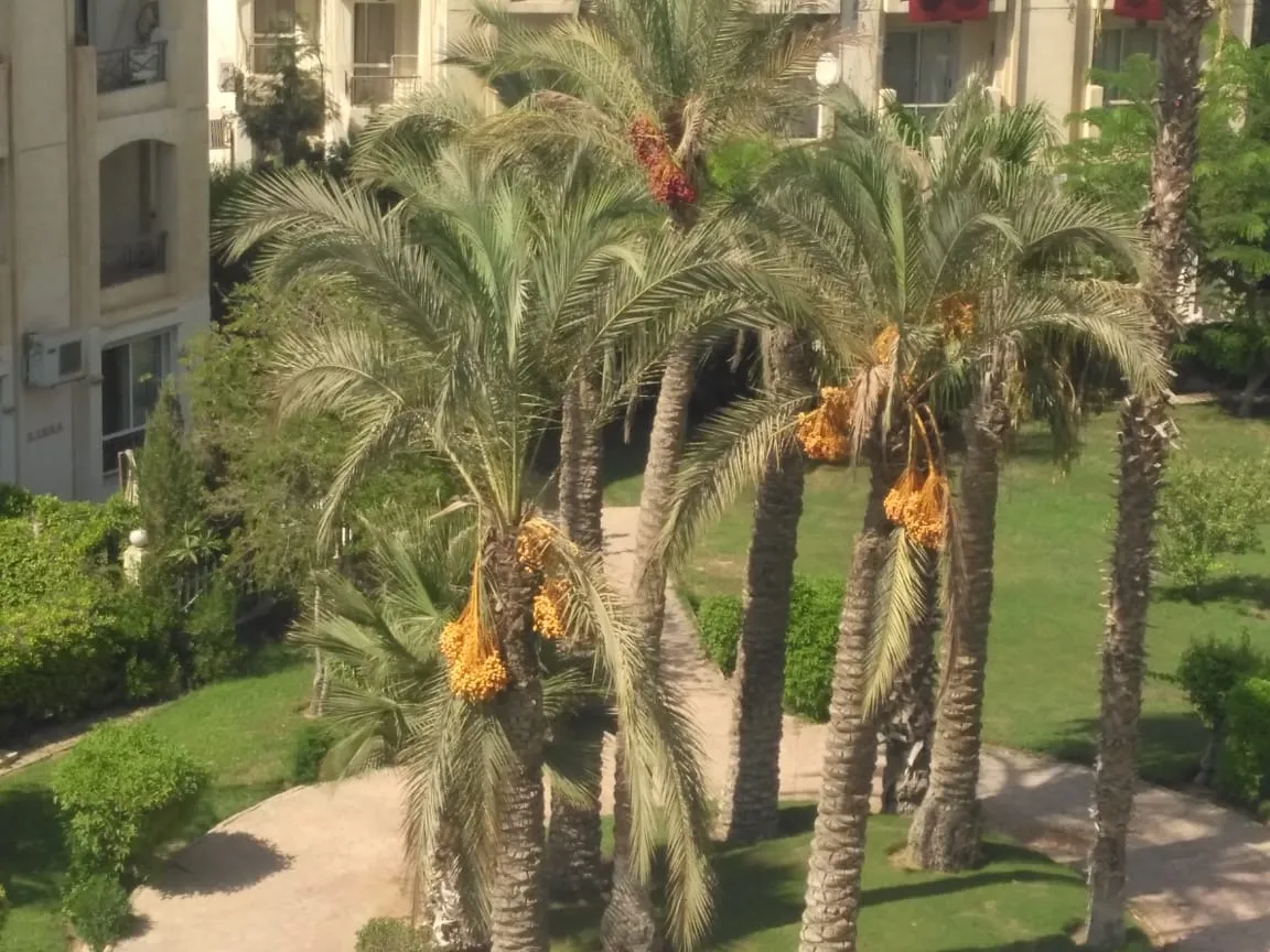Apartment for sale in Hadayek el Mohandesin in El Sheikh Zayed of 140 m² with 2 bedrooms