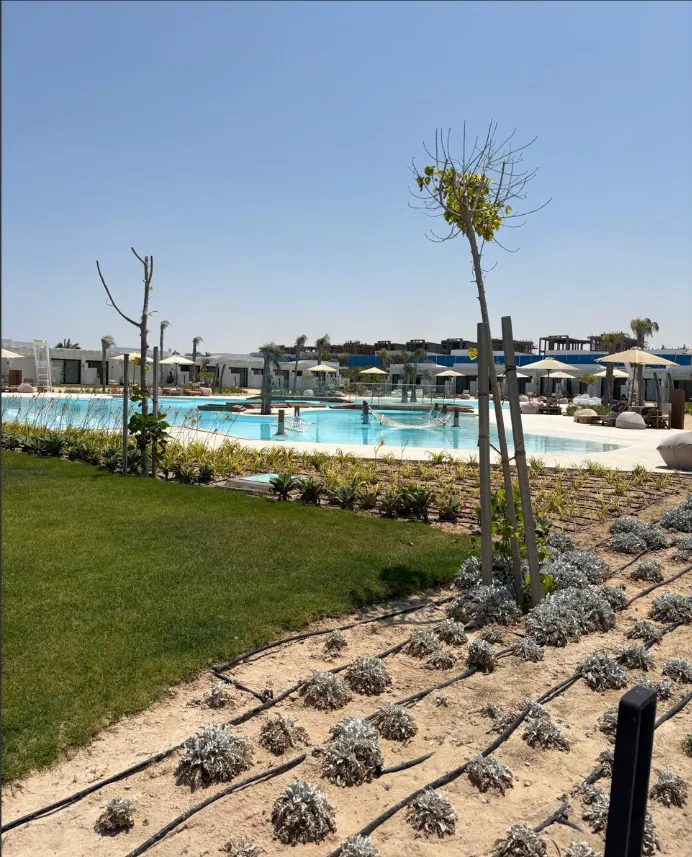 Twinhouse for sale in D-Bay in Al Dabaa of 240 m² with 4 bedrooms