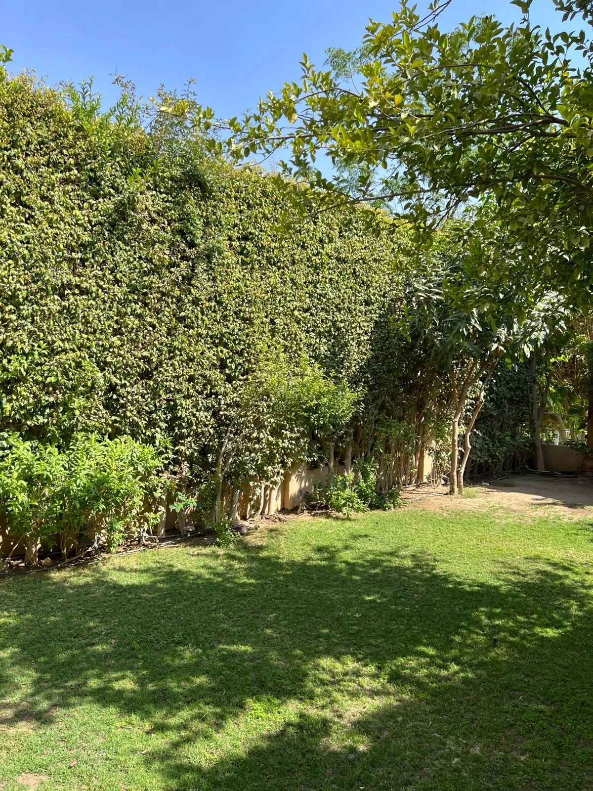 Townhouse for sale in Palm Hills Golf Extension in 6th of October City of 375 m² with 4 bedrooms