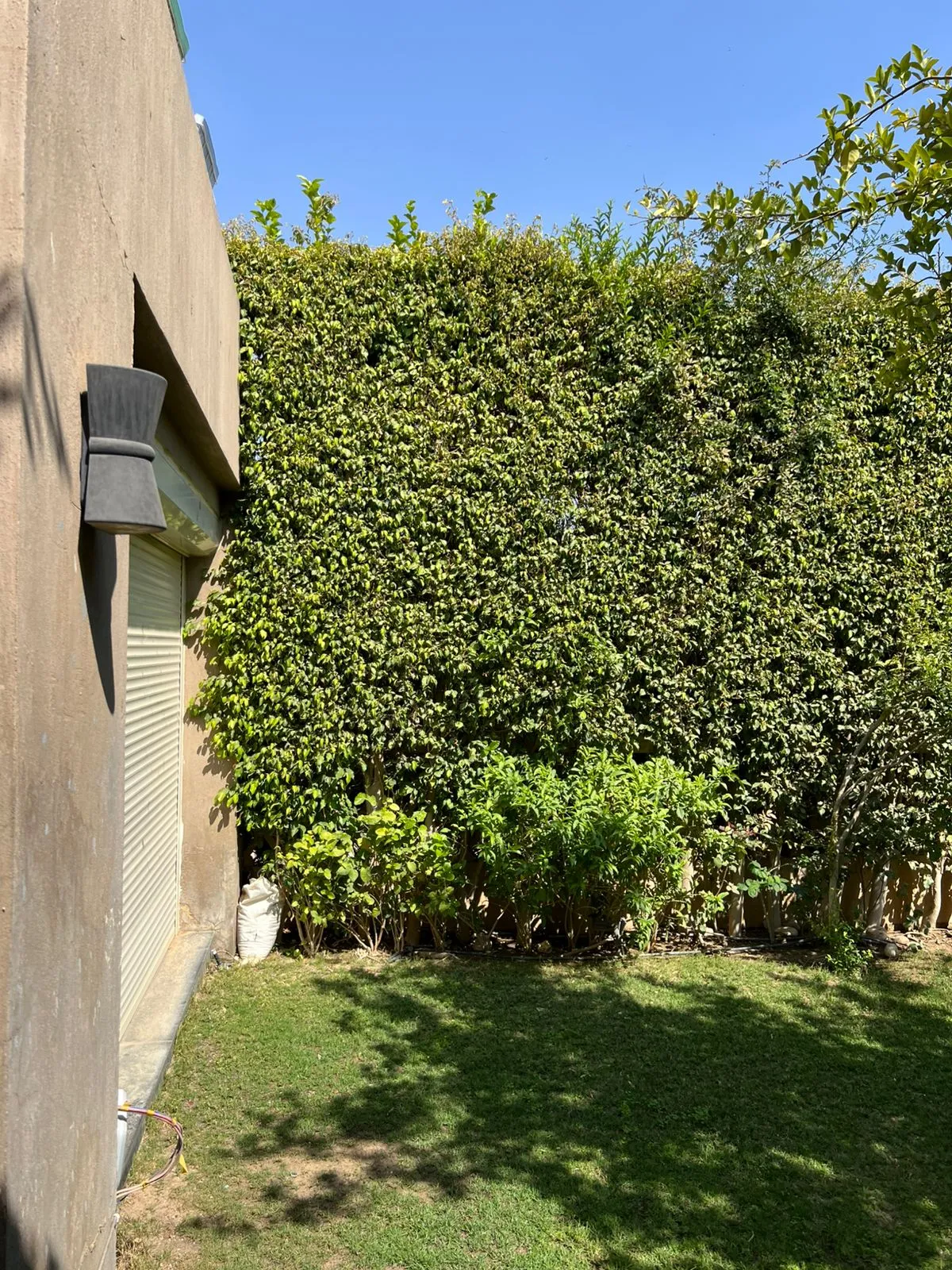 Townhouse for sale in Palm Hills Golf Extension in 6th of October City of 375 m² with 4 bedrooms