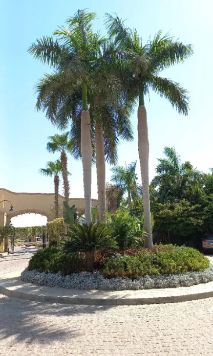 Villa for sale in Dara Gardens in 6th of October City of 500 m² with 6 bedrooms
