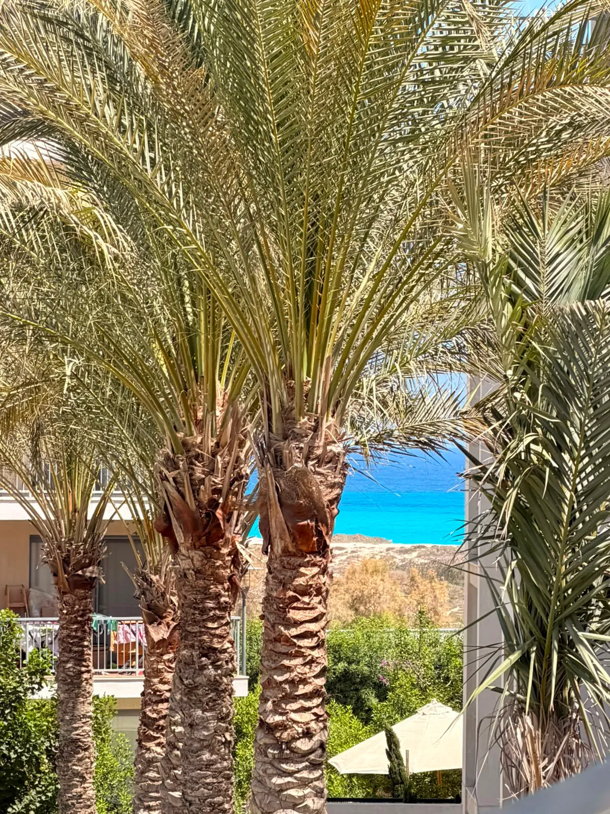Chalet for sale in Marassi in Sidi Abdel Rahman of 89 m² with 2 bedrooms