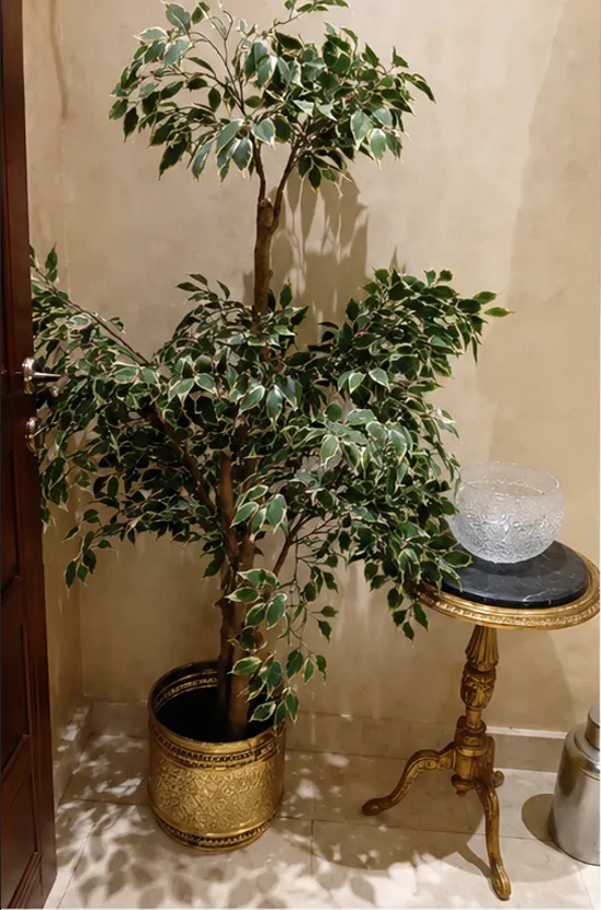 Townhouse for sale in Moon Valley I in South Investors of 460 m² with 5 bedrooms