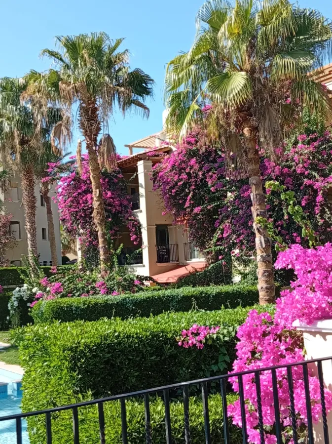Chalet for sale in Veranda Sahl Hasheesh in Sahl Hasheesh of 90 m² with 2 bedrooms