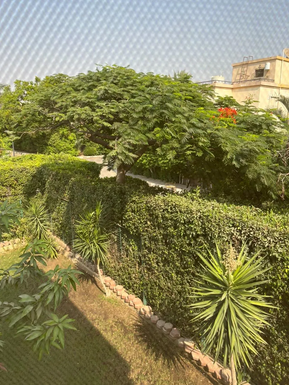 Villa for sale in El Rehab in New Cairo of 245 m² with 3 bedrooms