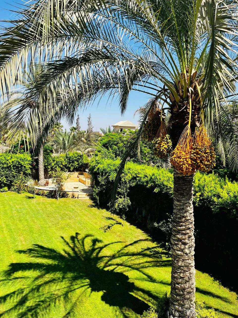 Villa for sale in Golf Solimania in New Sphinx of 450 m² with 4 bedrooms