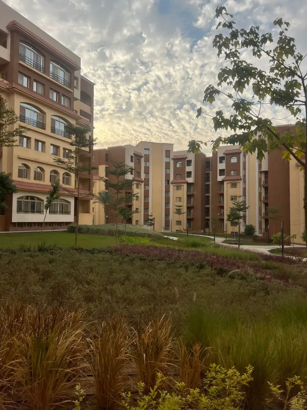  للبيع في المقصد في  بمساحة 0 م² تتكون من 0 غرف