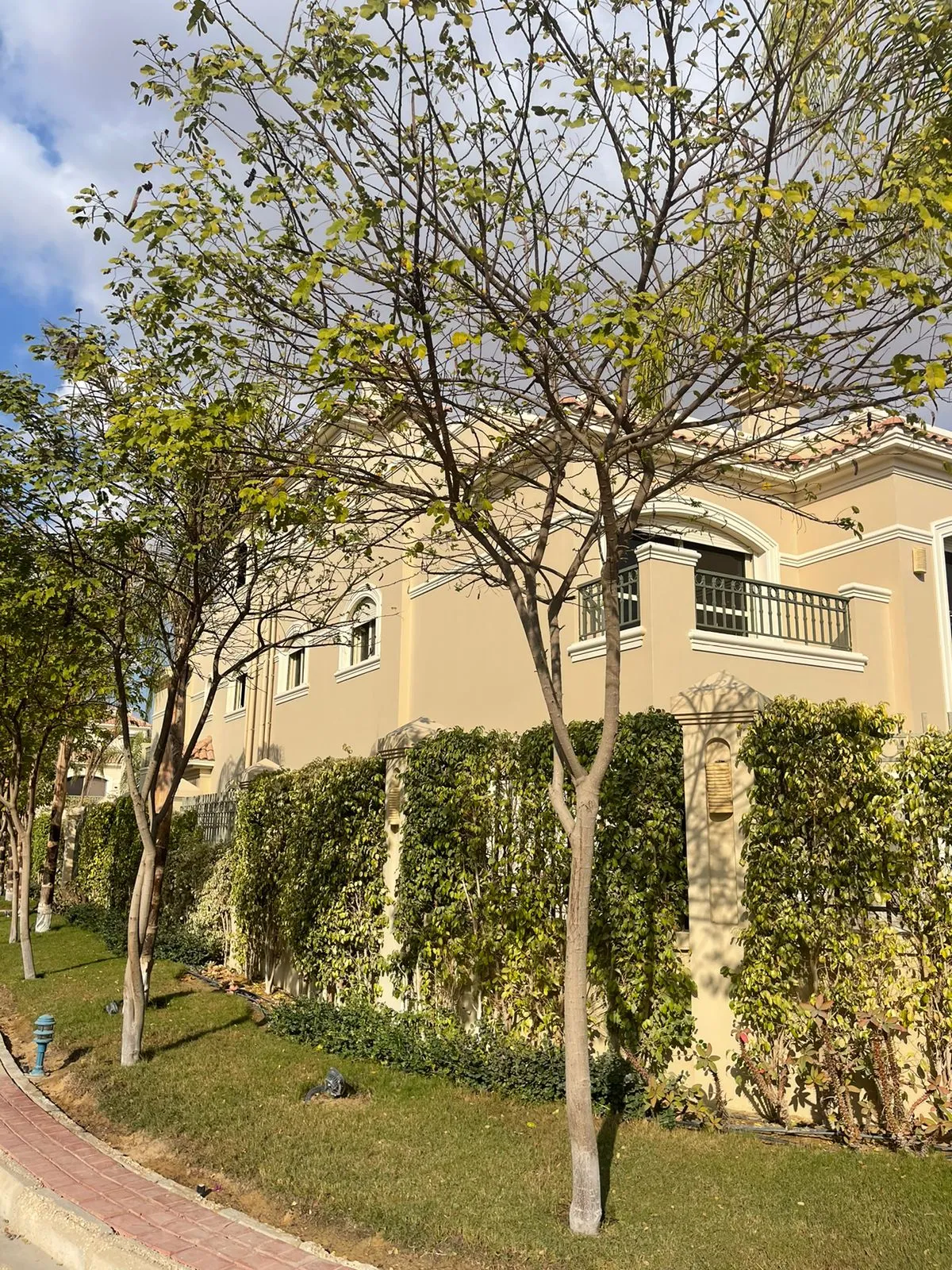  for sale in El Patio 5 East in  of 0 m² with 0 bedrooms