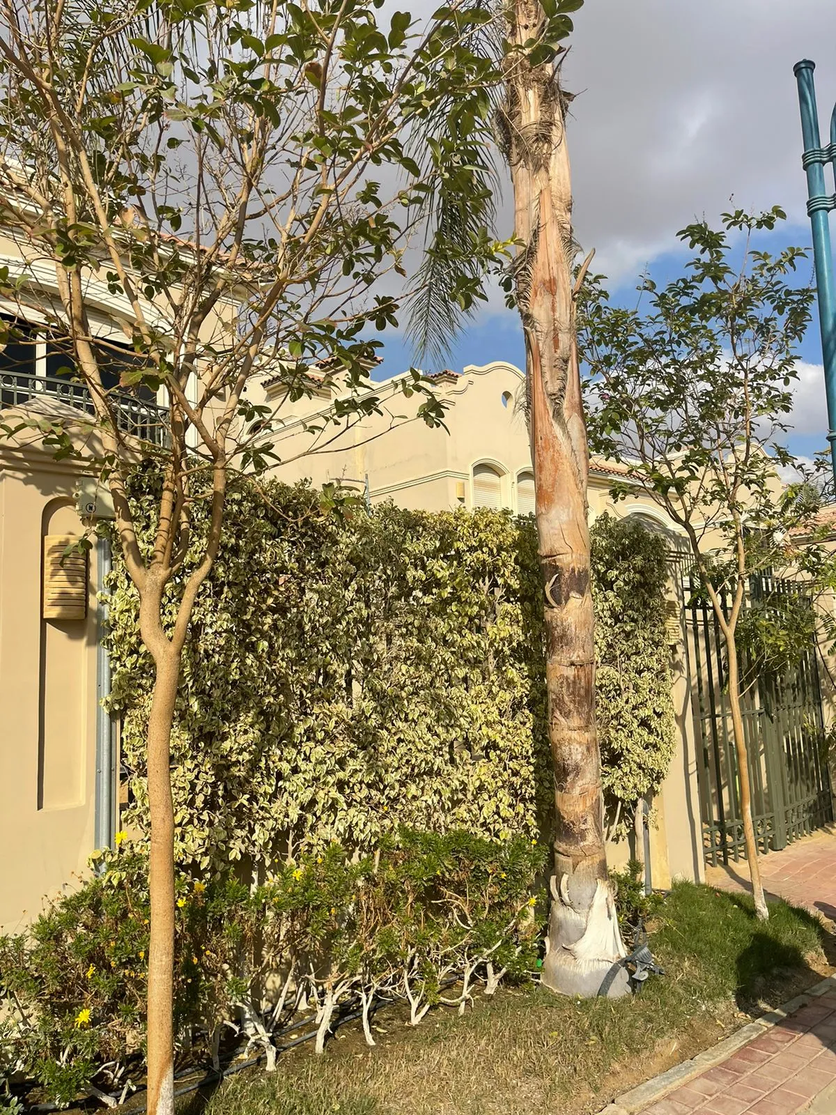  for sale in El Patio 5 East in  of 0 m² with 0 bedrooms