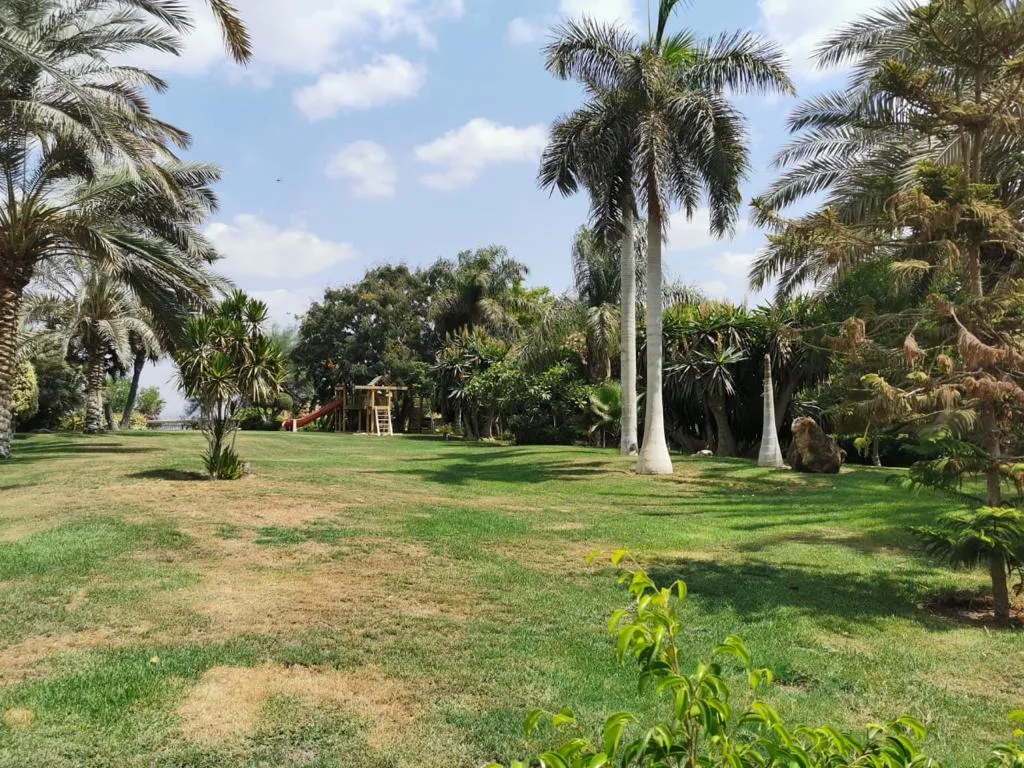 Villa for sale in City View in 6th of October City of 1500 m² with 4 bedrooms