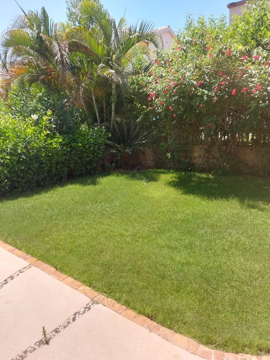  for sale in Marassi in  of 0 m² with 0 bedrooms