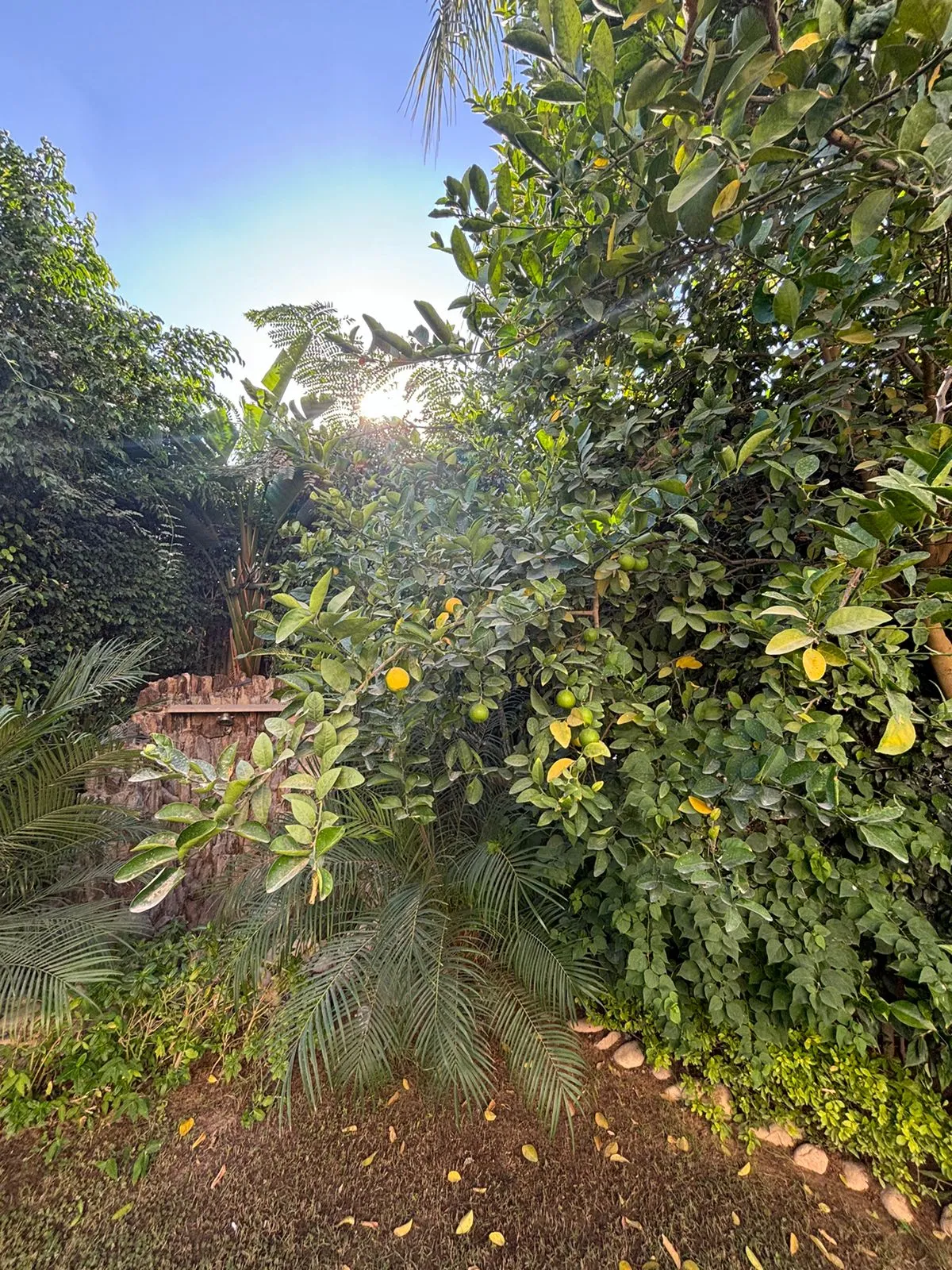 Villa for sale in El Patio 6 October in 6th of October City of 290 m² with 4 bedrooms