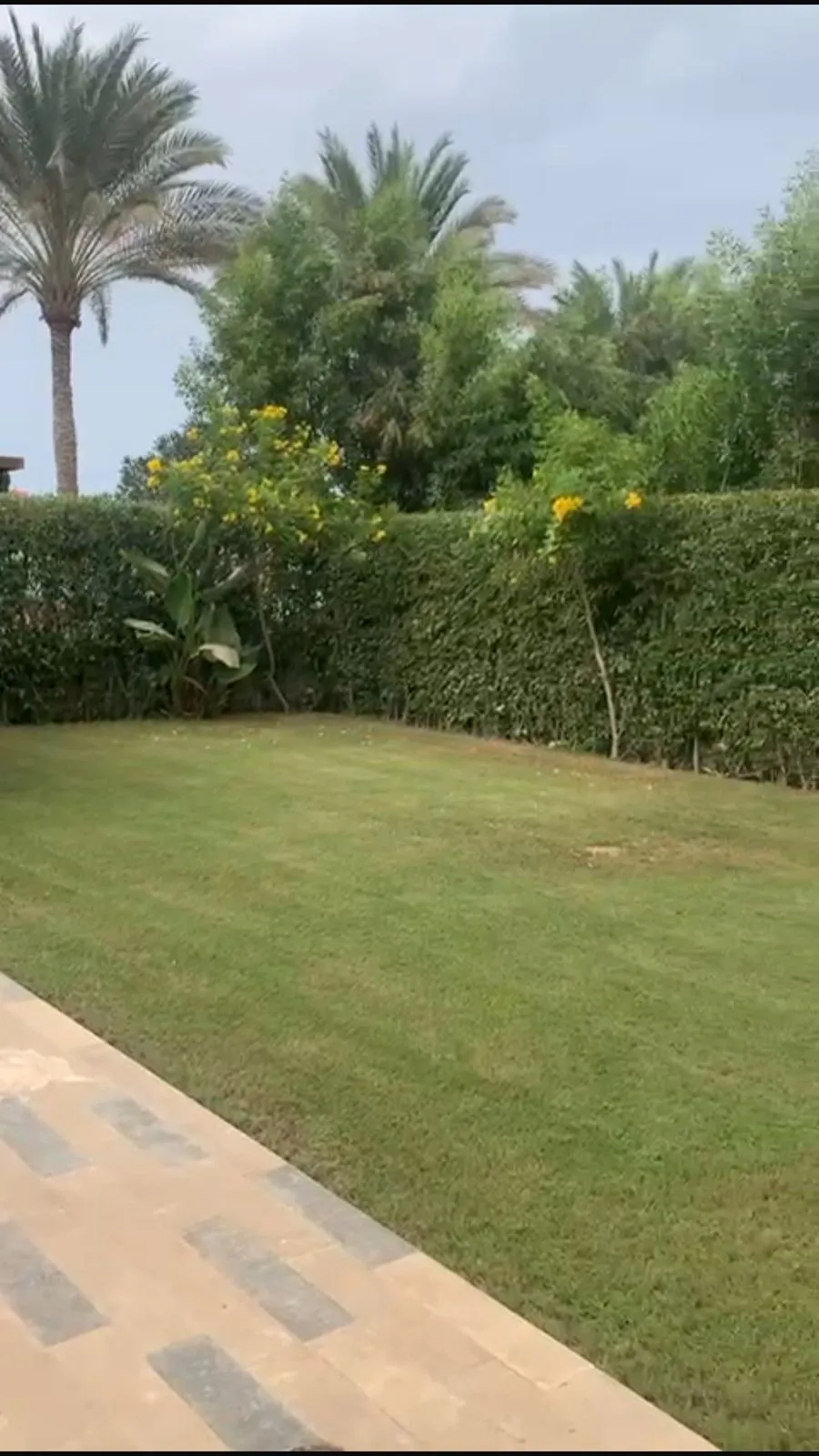  for sale in Marassi in  of 0 m² with 0 bedrooms
