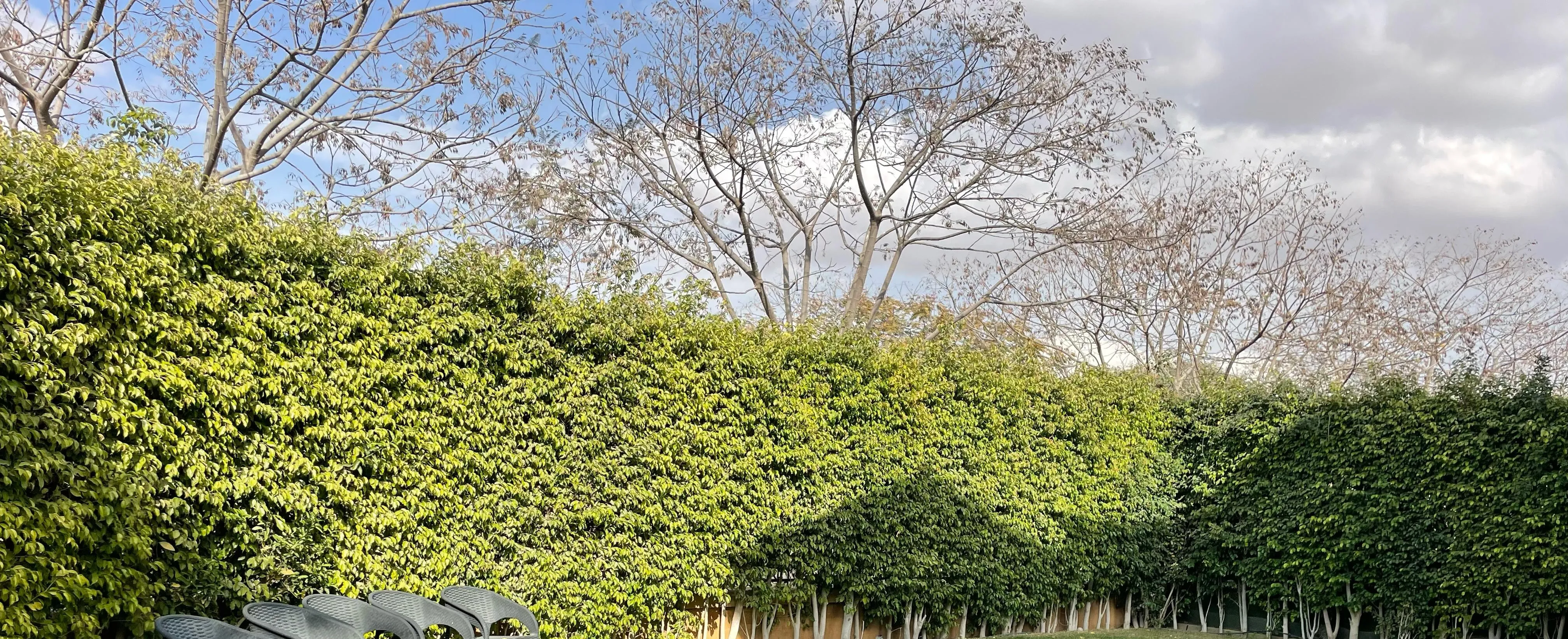  for sale in Mivida in  of 0 m² with 0 bedrooms