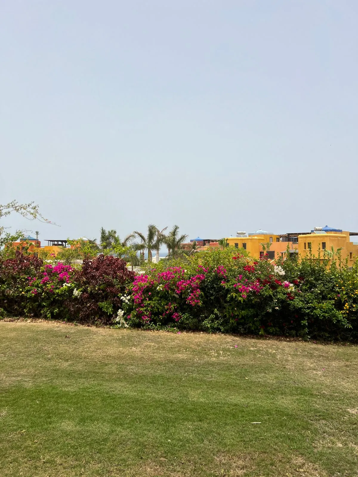 for sale in Hacienda Red in of 0 m² with 0 bedrooms