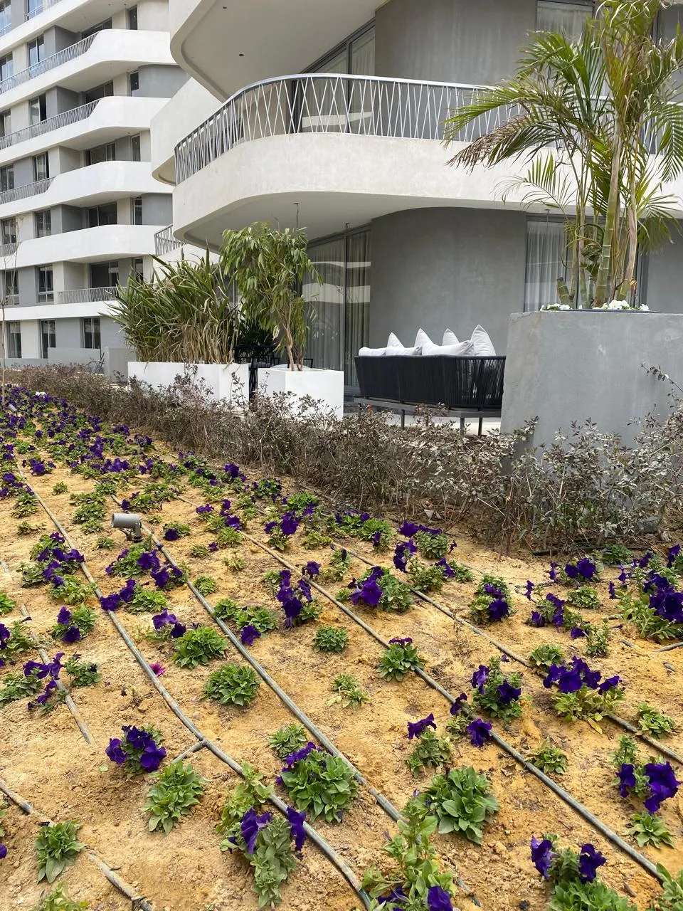 for sale in Bloomfields in of 0 m² with 0 bedrooms