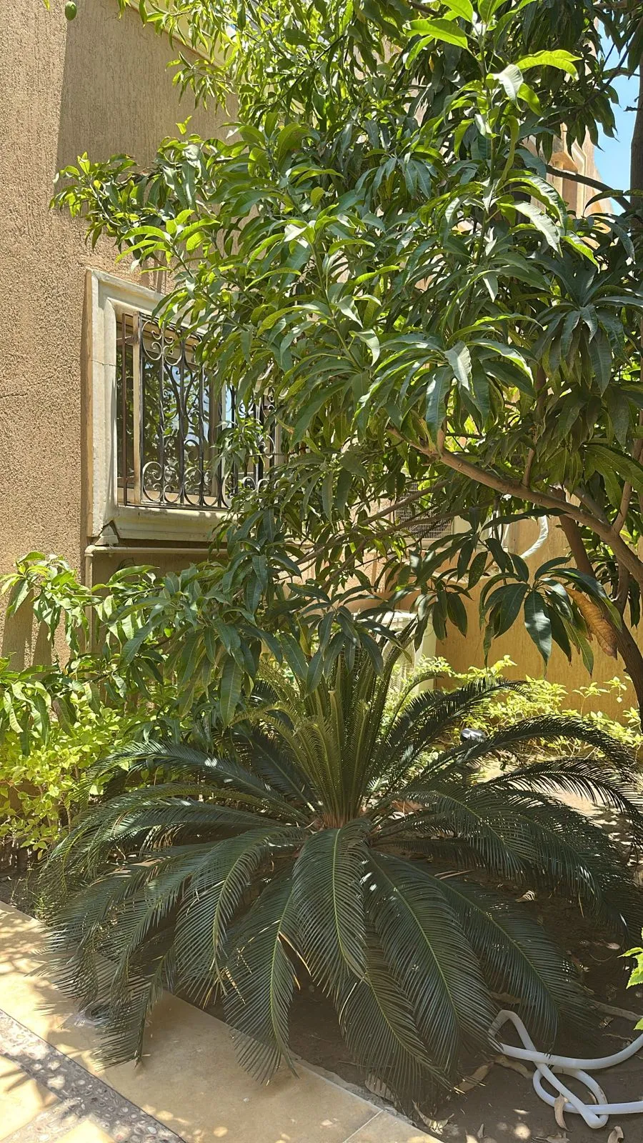 Twinhouse for sale in Les Rois New Cairo in New Cairo of 375 m² with 4 bedrooms