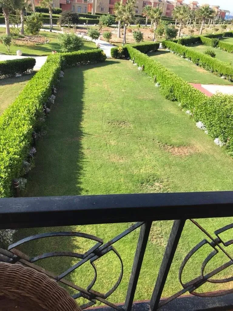 للبيع في بلومار سيدي عبد الرحمن في بمساحة 0 م² تتكون من 0 غرف