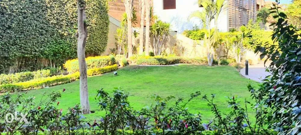  for sale in Jewar Sheikh Zayed in  of 0 m² with 0 bedrooms