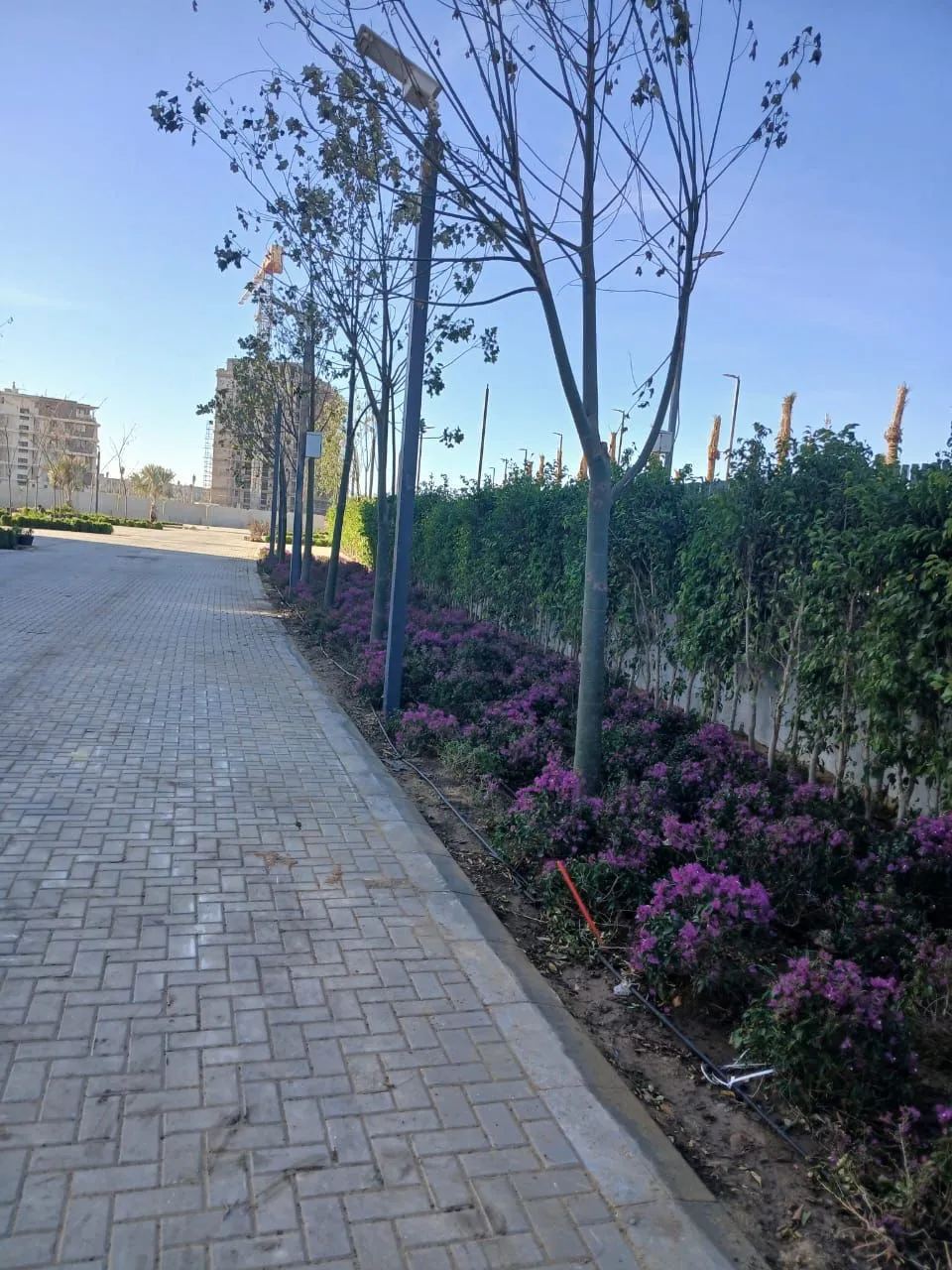 Villa for sale in Badya in October Gardens of 195 m² with 3 bedrooms