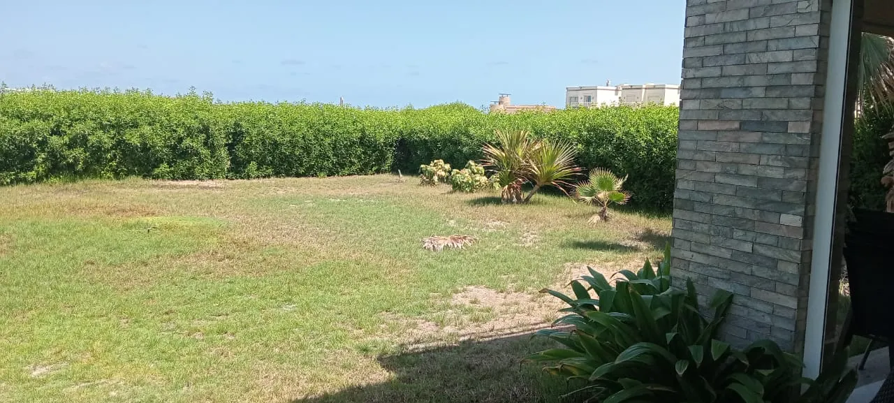 Villa for sale in Amwaj in Sidi Abdel Rahman of 257 m² with 4 bedrooms