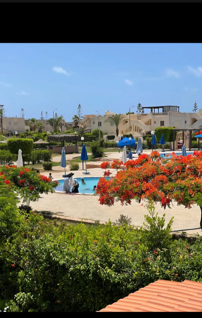  للبيع في ويست ودز في  بمساحة 0 م² تتكون من 0 غرف