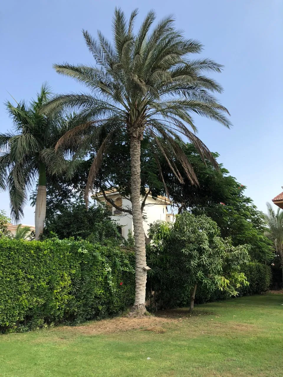 للبيع في كارنيليا في بمساحة 0 م² تتكون من 0 غرف