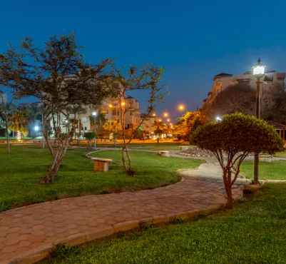 للبيع في حي الاشجار في بمساحة 0 م² تتكون من 0 غرف