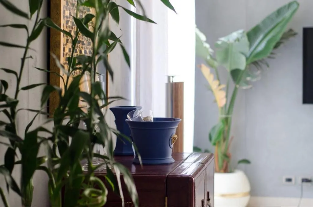 Penthouse for sale in Forty West Phase I in Northern Expansion of 300 m² with 2 bedrooms