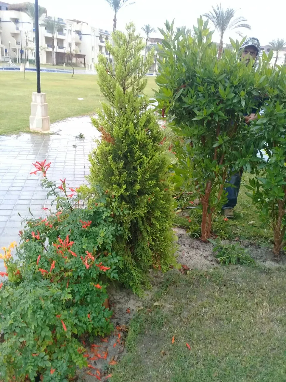 Chalet for sale in Stella Sidi Abdelrahman in Sidi Abdel Rahman of 0 m² with 3 bedrooms