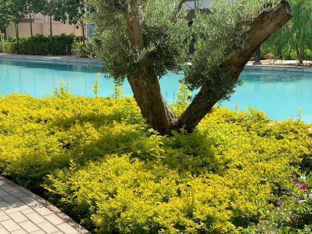  for sale in Lake View Residence in  of 0 m² with 0 bedrooms